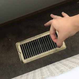 Meet your Posher, Bird